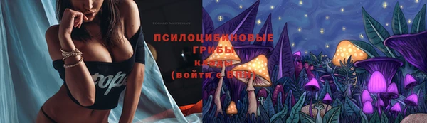 дурь Майский