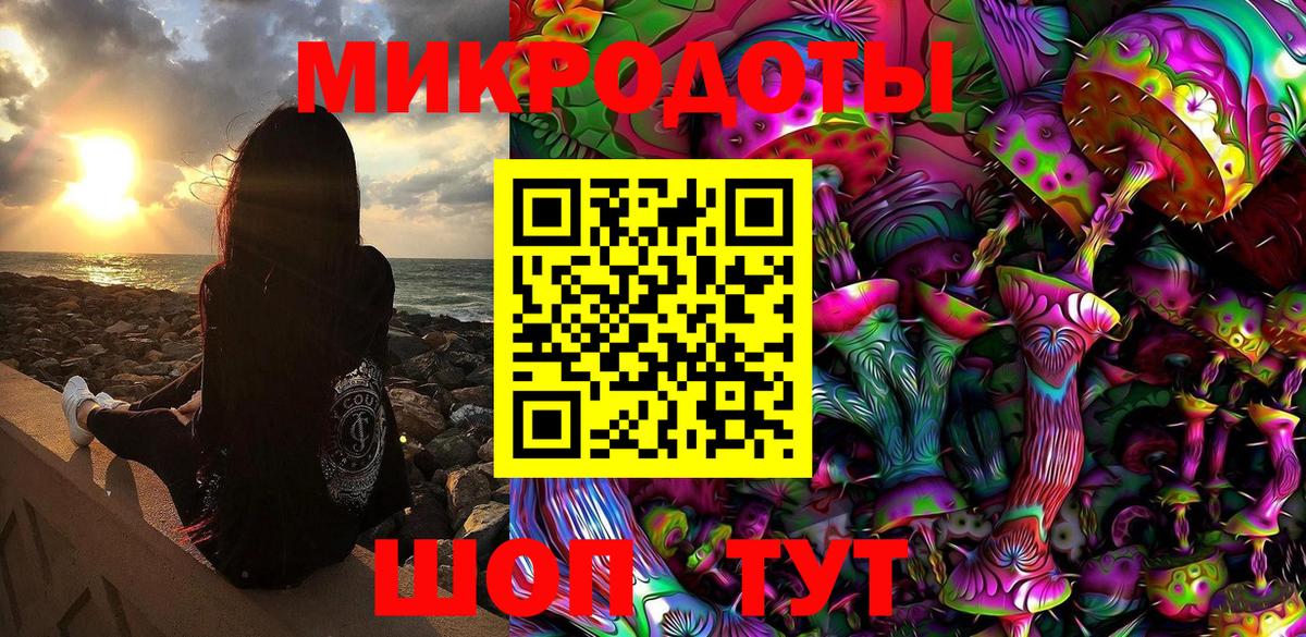 Псилоцибиновые грибы Psilocybe Феодосия