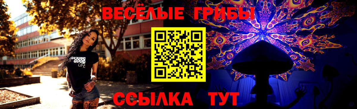 Псилоцибиновые грибы GOLDEN TEACHER  Вход с VPN  Феодосия  Галлюциногенные грибы ЛСД 
